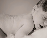 D1P_2023